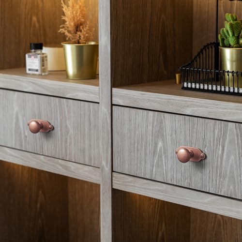 Image of Goo-Ki Antique Copper Zinc Alloy Cabinet Knob with Backplate - Single Hole Center Cabinet Pull Hardware for Bedroom, Kitchen, 6 Pack(8611-G013)