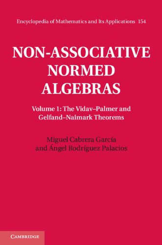Non-Associative Normed Algebras: Volume 1, The Vidav–Palmer and Gelfand–Naimark Theorems (Encyclopedia of Mathematics and its Applications Book 154)