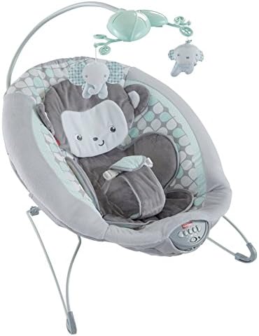 Amazon Com Fisher Price Sweet Surroundings Monkey Deluxe Bouncer Baby