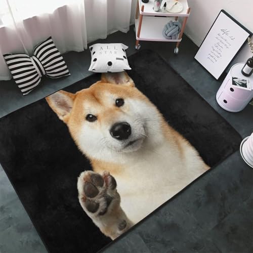 �Č� ���� ���� �A�j�� �J�[�y�b�g �����` ���O �ėp �h�_�j �R�� �h�L �ӂ���Ǝ�G�� ������� ���g�[�Ή� �􂦂� ����~�ߕt �L�����N�^�[ �l�C �v���[���g 100 × 150 cm GK37