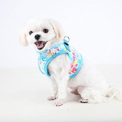 Puppia Authentic Spring Garden Harness B, Sky Blue, X-Small #TOP4