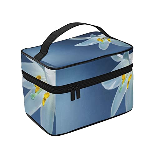 σ|[` CN|[`   RX[ ֌g σobO ϔ vp σP[X ^ CN{bNX e ϕi[obO ʗp s op y  ϓ Jo[t̃t@Xi[