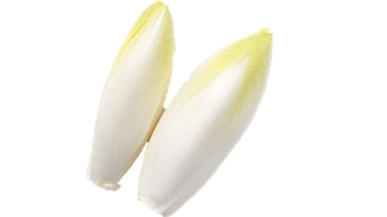 Amazon.co.jp: 植物種子 チコリ 種 40粒 : DIY・工具・ガーデン