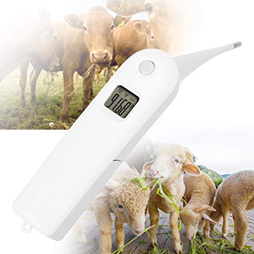 Professional Pet Veterinary Thermometer, Fast Digital Veterinary Thermometer, Pet Thermometer For Pigs Cattle Sheep Dogs, Horse(No Battery) #TOP2
