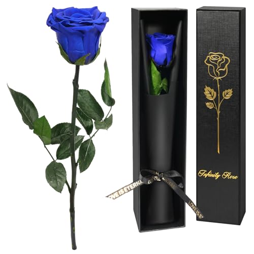 Yamonic Rosa Eterna Regalos para Mujer, Rosa Preservada con Tallo Regalo Mujer, Flores Preservadas Regalo Mujer Navidad Rosa Eterna Natural Preservada Regalo San Valentín Dia de la Madre,Rosa Azul