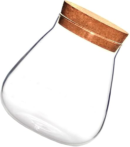 Miniatura 6 de HOMSFOU Tarro redondo de vidrio para plantas, terrario, maceta suculenta de mesa, bolas de musgo, florero, botella de deseos, tarro de galletas de