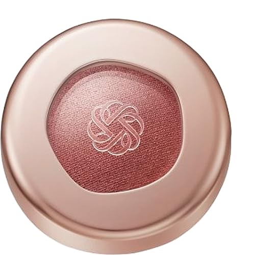R[Z[ RXfRe COSME DECORTE ACOEWF XLVhE Silky Matte 6g ACVhE 21M retro noble