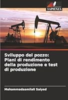 Sviluppo del pozzo: Piani di rendimento della produzione e test di produzione (Italian Edition) 6208854067 Book Cover
