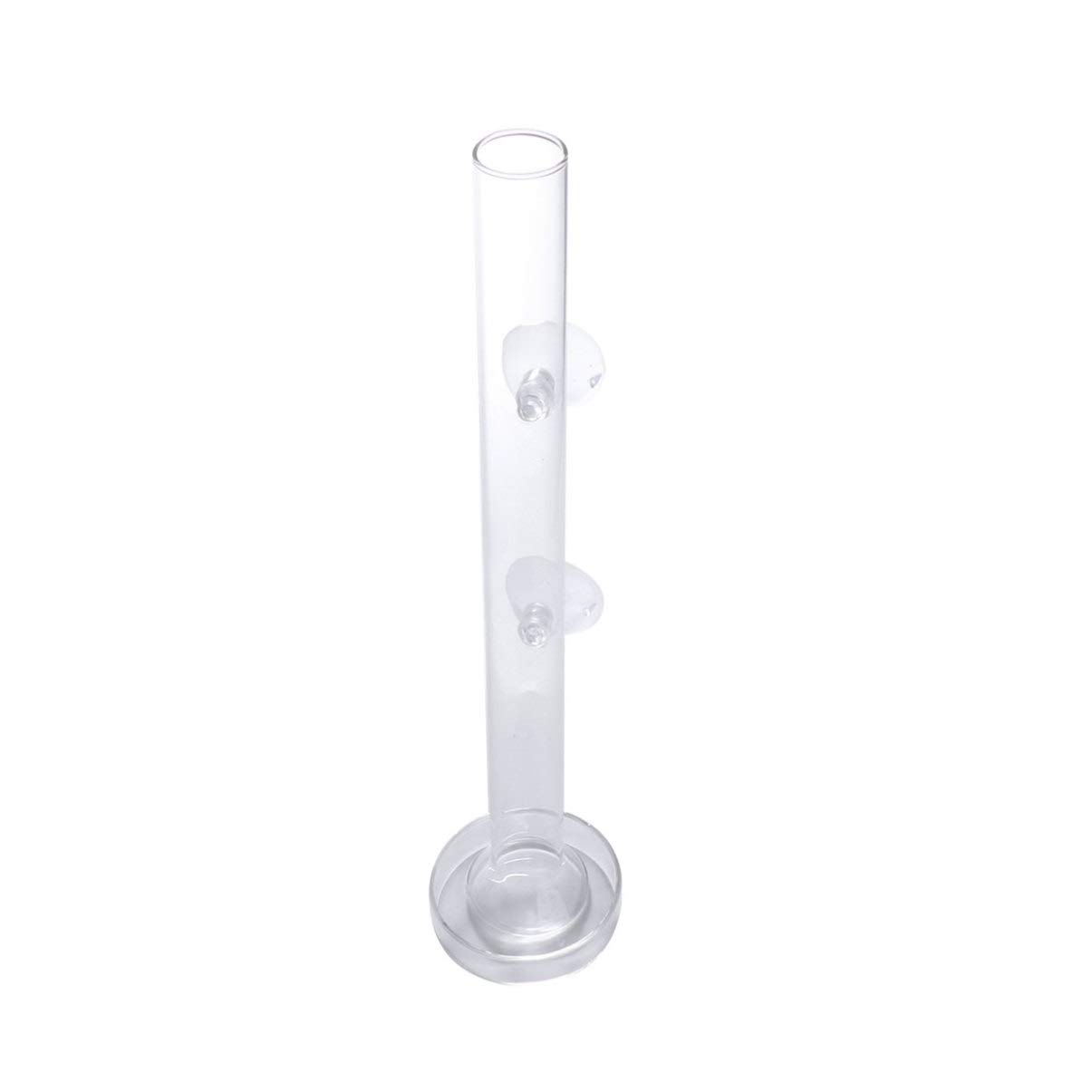 Practical Shrimp Feeding Transparent Glass Aquarium Dish for Fish and Shrimp and Easy to Use for Home Decor and Aquatic Feeding