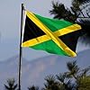 Jamaica Flag 3x5 Feet, Jamaican National Flag Polyester with Brass Grommets, Vivid Color, for Events Party Street Indoor Outdoor Decoration #2