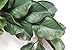Silk Road Home Magnolia Wreath 24 Inch for Front Door Adjustable Leaves