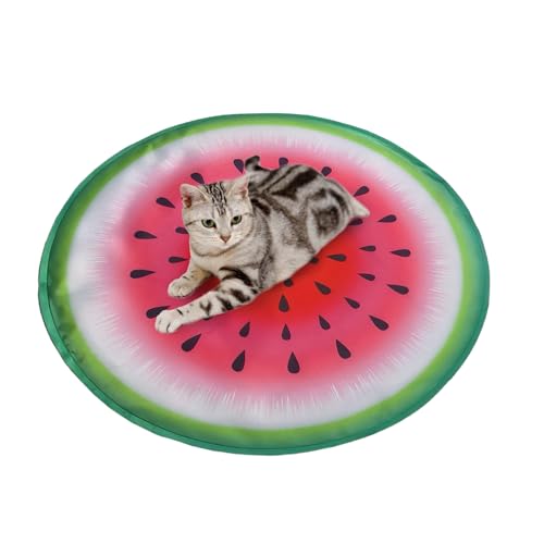 Lit confortable pour intérieur chiot et chaton : protégez-les de la chaleur - 2