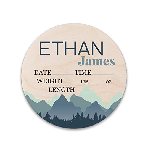 Birth Stat Sign Personalized for Newborn Baby, Ethan James Design, Crib & Nursery Decor, Photography Prop, Baby Shower Gifts, Gender Reveal, Pregnancy Announcement, Hickory Hollow Designs
