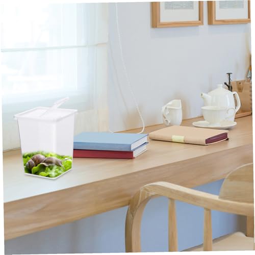 MOTHNUR 2�� ঒��ރe�����E���p�����t�B�[�f�B���O�{�b�N�X ���ʊJ�\ ���ϋv�f�� ���^঒��� �T ������ �J�G�������