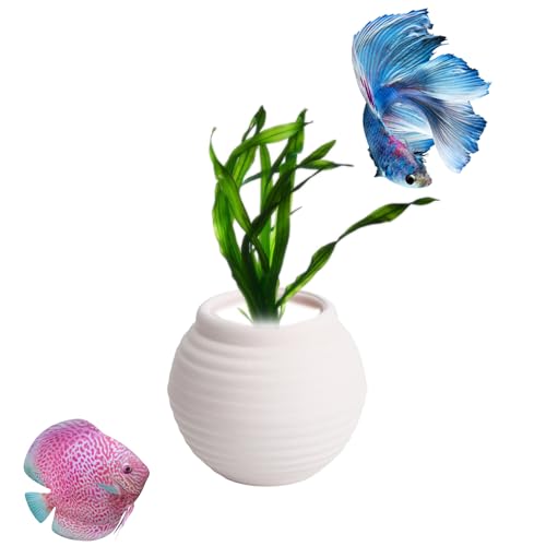 AnRui ~fBA W[ ǍŒp ȂZ~bNI[ig   zCg