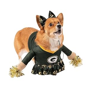 Modern Hero Cheerleader Hundekostüm Grün L