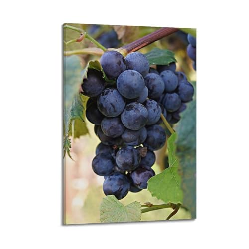 Poster cabernet sauvignon pour habiller un mur vide avec style cadre