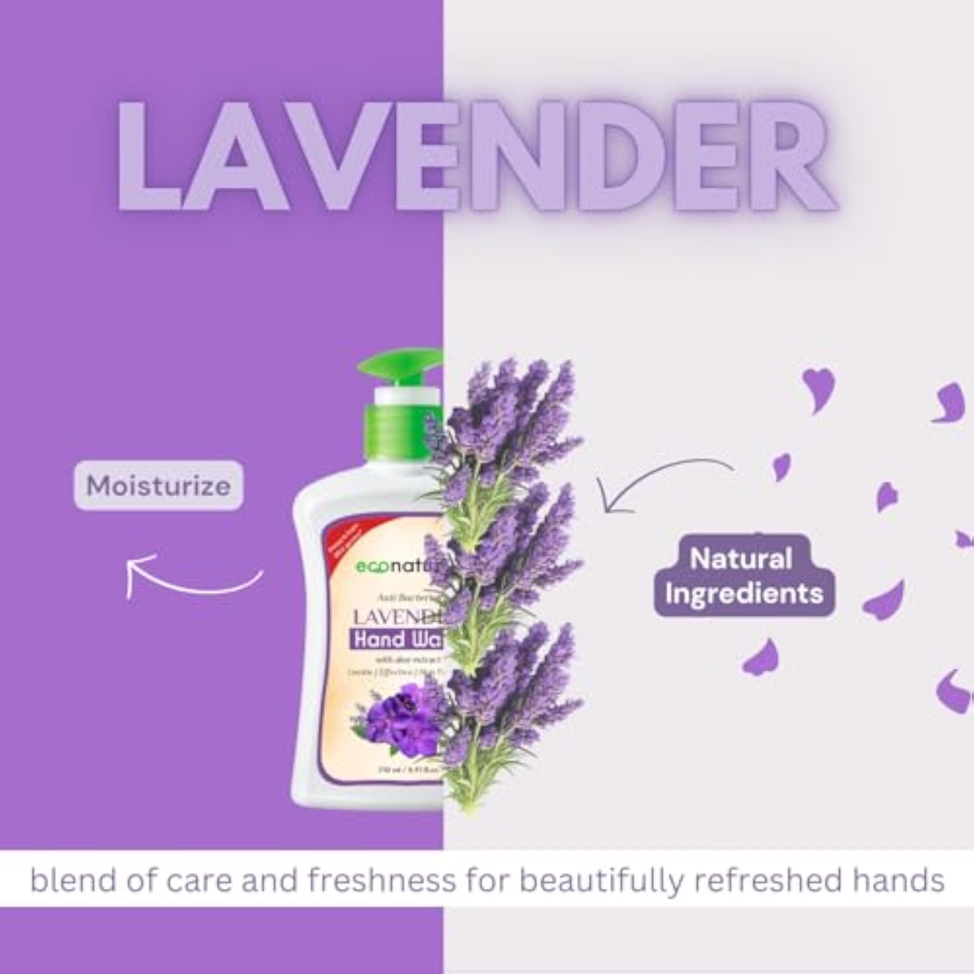 Econature Lavender Hand Wash with Aloe Extract, Pack of 2