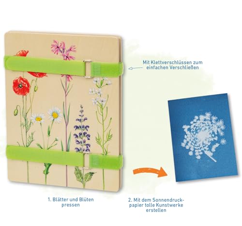 moses. Expedition Natur Blatt- und Blütenpresse mit Sonnendruckpapier, Blumenpresse für Kinder, Pflanzenpresse aus Holz zum Konservieren von Blüten und Blättern, mit 2 Klettverschlussschlaufen