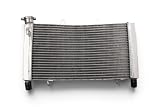 avdb moto Radiateur d'Eau Supérieur Type Racing compatible avec HONDA NRX 1800 / NRX1800 RUNE VALKYRIE 2004 2005