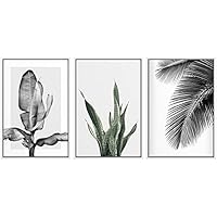 SIGNWIN Framed Canvas Print Wall Art Trio of Jungle Palms & Snake Succulents Floral Plants Photography Modern Art Minimalist Black and White for Living Room, Bedroom, Office - 16