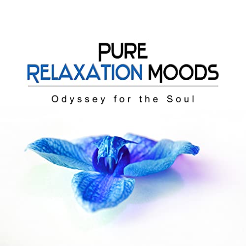 Pure Relaxation Moods Oasis of Zen Meditation Music