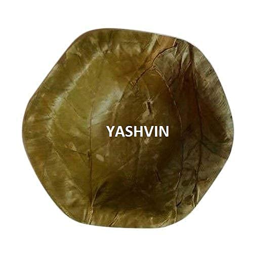 Bio-degradable Disposable Palash (Butea Monosperma) (100 Pieces) Dona Pattal Sal Leaf Bowls/Degradable for Food offering to God AVA213