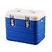 Lodówka Turystyczna Mini Lodówki Lodówki z uchwytem i pokrywką, chłodniejszą lub cieplejszą przenośną chłodnicą chłodną izolowaną pudełko do festiwalu kempingowego plażowy samochód piknikowy, 6L, 17L,