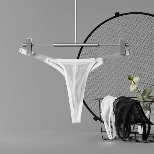 Men's Sexy See Through Mesh Soft T-back Undies Underpants4