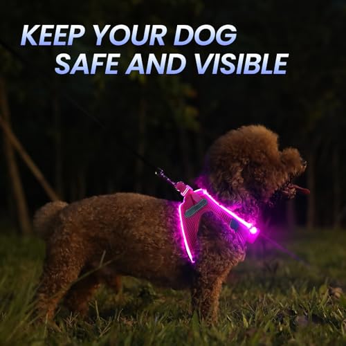Light Up Dog Harness with Rechargeable LED, Waterproof Reflective Dog Harness Glow in the Dark - Image 3