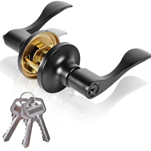 Brigligh High-Security Stainless Steel Door Handle - with Lock and Key, Door Lever for Bedroom, Bathroom and Rooms(Black) by Brigligh - Used condition - US$13.59