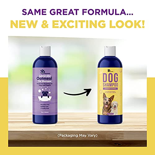 Cleansing Dog Shampoo for Smelly Dogs Refreshing Colloidal Oatmeal