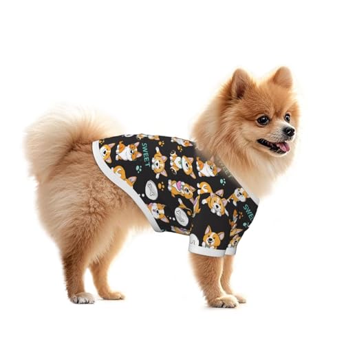  t  H ~ ̕ R[M[ ʔ  킢 ^Ngbv ybg   L    hbOEFAm L̕ ʋC Lk