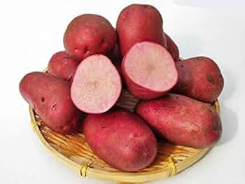 じゃがいもドラゴンレッド　10キロ　農薬、化学肥料不使用 じゃがいもドラゴンレッド 農薬、化学肥料不使用 - メルカリ