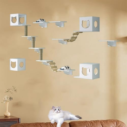 LbgEH[VFtZbgB^Lp̖CރLbgEH[t@j`[BLbgXebv QAoAVԁAQɍœKł(12pcs)