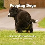 Pooping Dogs 8.5 X 8.5 Calendar September 2021 -December 2022: Bernese Mountain Dog Monthly Calendar with U.S./UK/ Canadian/Christian/Jewish/Muslim ... Gift Idea White Elephant Party, Santa Secret
