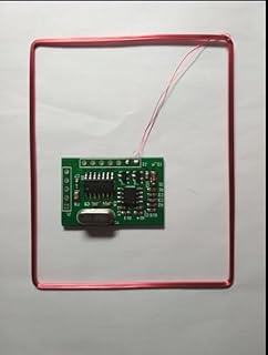 Occus 134.2KHZ Animal Tag Reader Module EM4305 Ear Tag Foot Ring Reader Module - (Color: FDX-B)