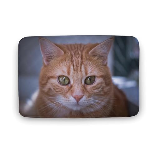 L   oX}bg   z փ}bg  O    ~ Aj LN^[ @}bg   ʏ