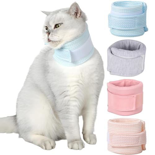 L T|[^[ GUxXJ[   T|[^[ _炩 h p K[h ^ TCY\ y K ʋC rߖh~ ~h~ Dp 퐶Ή p񕜃T|[g Lp \ JԂgp\ ybgpPAp