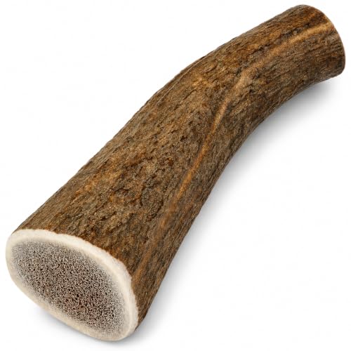 Corno di Cervo Naturale per Cani | Masticatore Dentale Duraturo | Origine Naturale, Senza Additivi | Kira&Gara® (XL - 200-240g, Pack de 1)