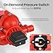 12V Pump, 5.5gpm-10amp-60psi, Chemical and Corrosion Resistant, Compatible with Roundup, Diaphragm Pump with Pressure Switch and Self-Priming for Agricultural Spraying, Rv, Boats, Etc