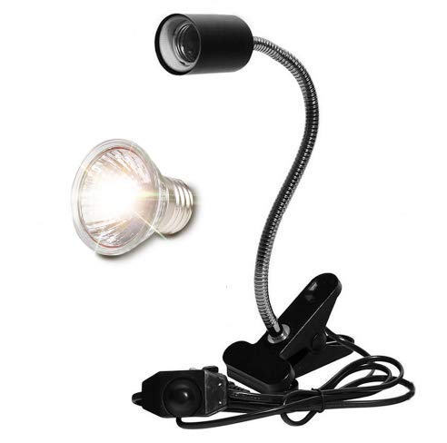 aztec aquarium decorations