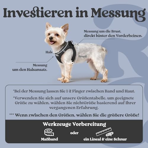 rabbitgoo Hundegeschirr Kleine Hunde, Step-in Welpengeschirr Weich Mesh für Spaziergänge, Atmungsaktives und Reflektierendes Brustgeschirr für Kleine und Mittelgroße Hunde, Schwarz, L