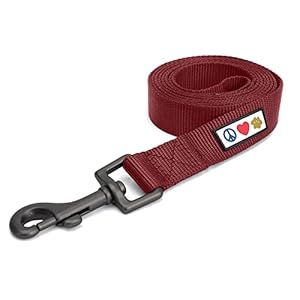 Pawtitas Correa para Perro 1.8 M Correa de Color Sólido Correa para Cachorros con Mango Cómodo Correa Perro Adiestramiento Correa Perro Pequeña/Extra Pequeña Correa Cafe para Perros Correa