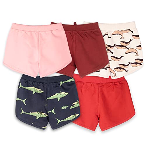 Image of Real Basics Premium Multicolour Cotton Shorts for Girls (Pack of 5)