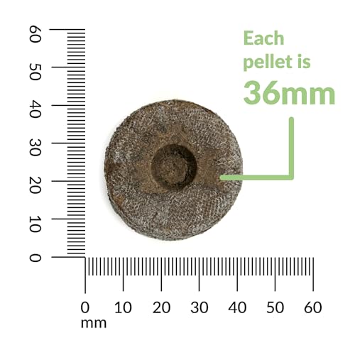 Jiffy Seed Starting Tray Kit, 36 Cell 36mm Peat Pellets with Bonus SUPERthrive