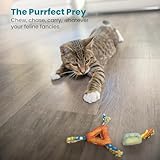 Petstages Catnip Dental Health Chews - Zahnpflege-Kauspielzeug für Katzen - Katzenminze - Mehrfarbig - 2 Stück