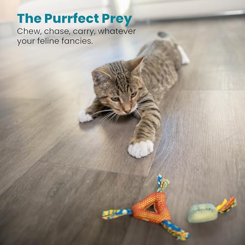 Petstages Catnip Dental Health Chews - Zahnpflege-Kauspielzeug für Katzen - Katzenminze - Mehrfarbig - 2 Stück