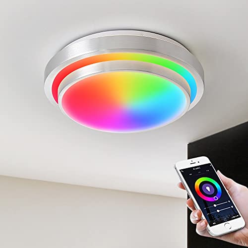 LED Smart Ceiling Light,Alexa LED Ceiling Light,Alexa Smart Ceiling Light,Alexa Compatible Ceiling Light,Compatible with Alexa Google Home,Bedroom Smart Life Smart Lighting,13"18W