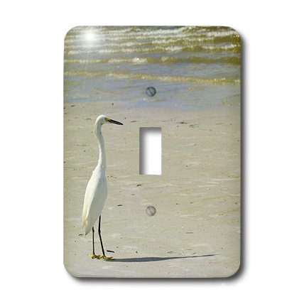 Interrupteur à bascule simple Egret on The Beach commande fluide et décor mural durable